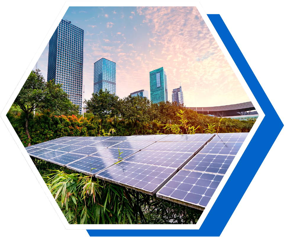 Proyectos Especiales en Sostenibilidad Ecuador